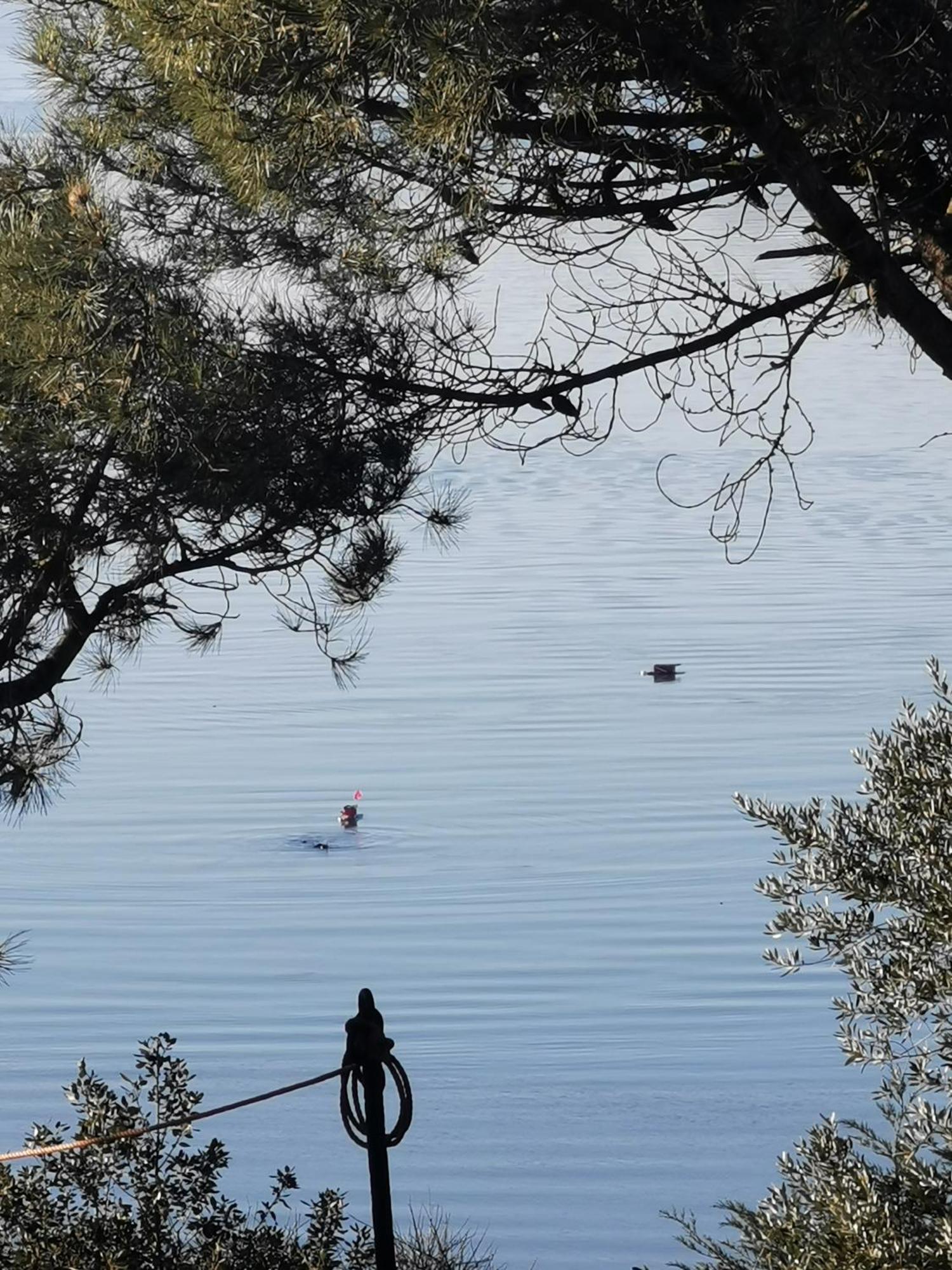 Les Pieds Dans L'eau Séjour chez l'habitant Saint-Malo