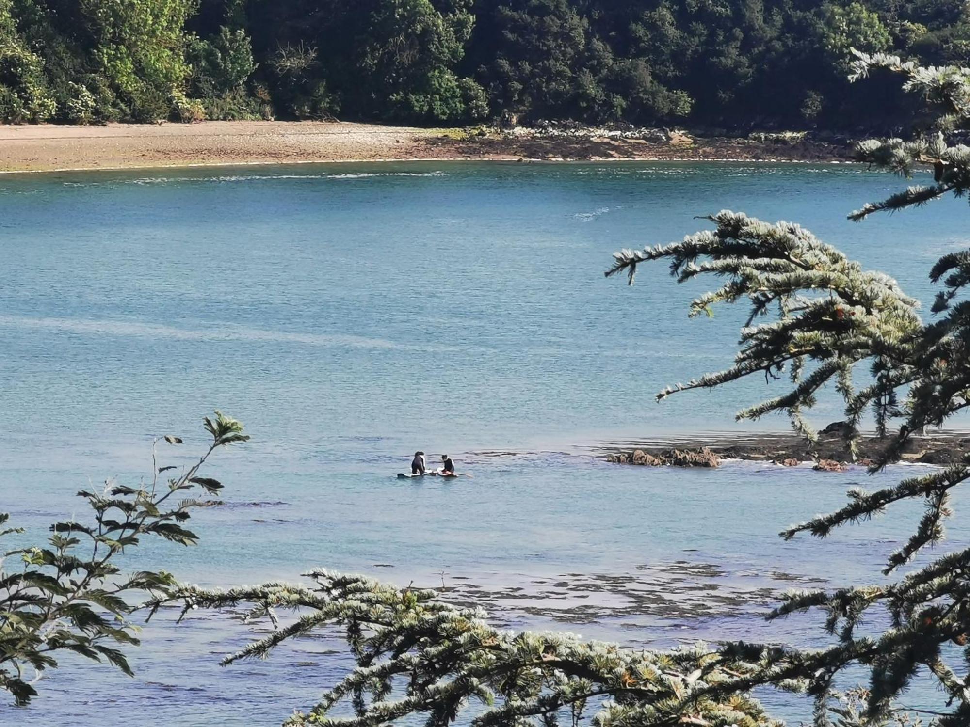 Les Pieds Dans L'eau Homestay